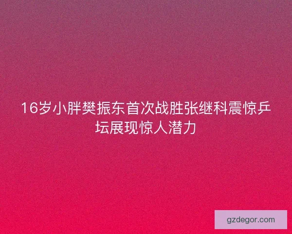 16岁小胖樊振东首次战胜张继科震惊乒坛展现惊人潜力