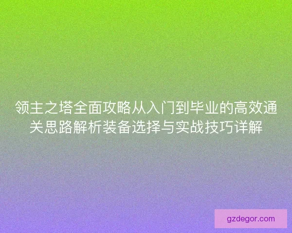 领主之塔全面攻略从入门到毕业的高效通关思路解析装备选择与实战技巧详解